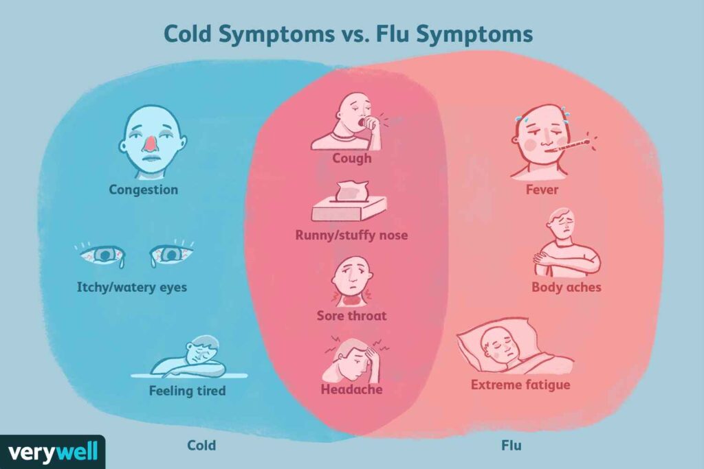 Five Stages Of The Flu Quiz?