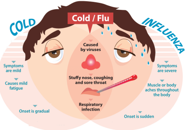 Top 10 Causes of Frat Flu